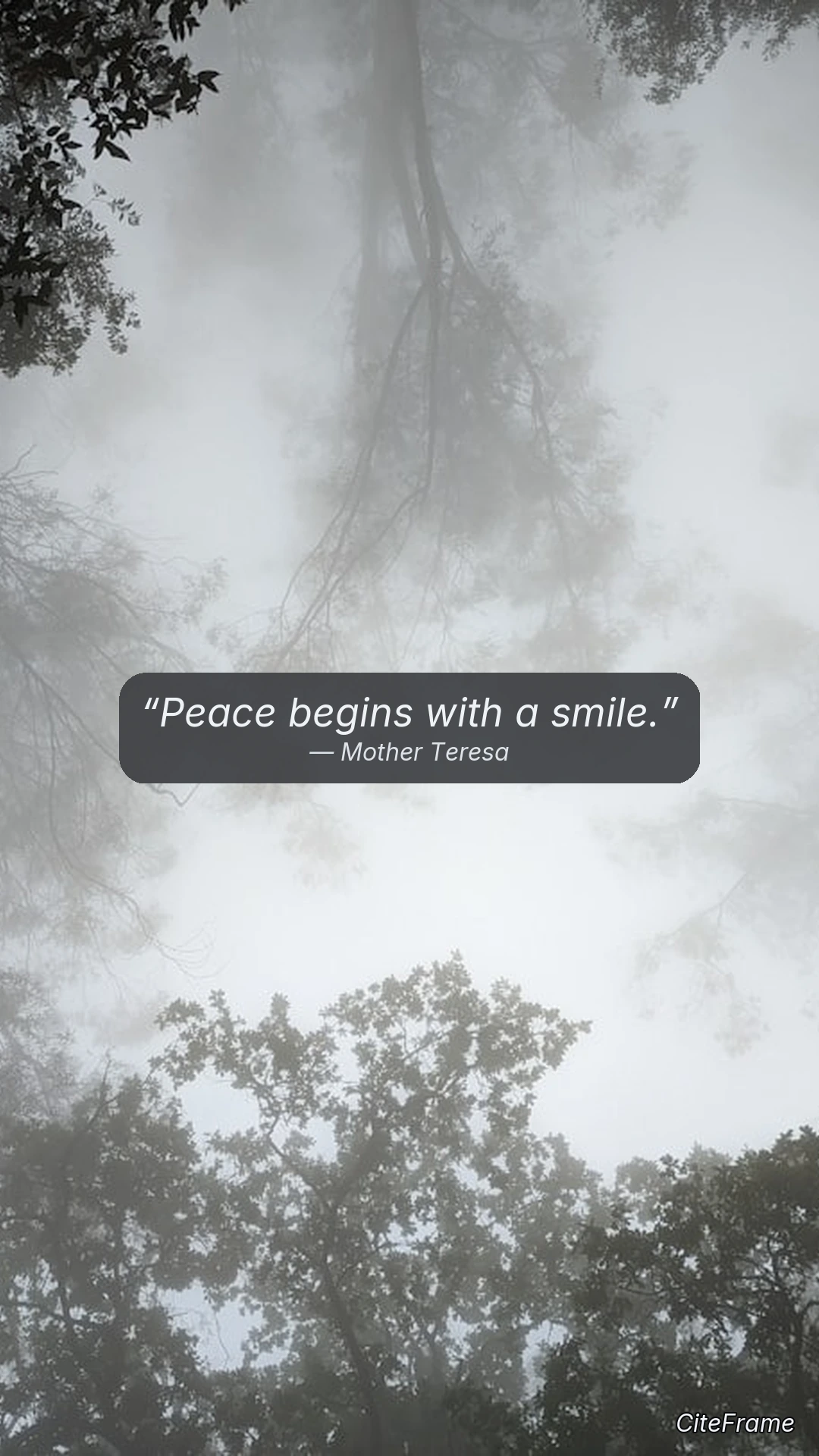 Quote by Mother Teresa: Peace begins with a smile. (STORY)