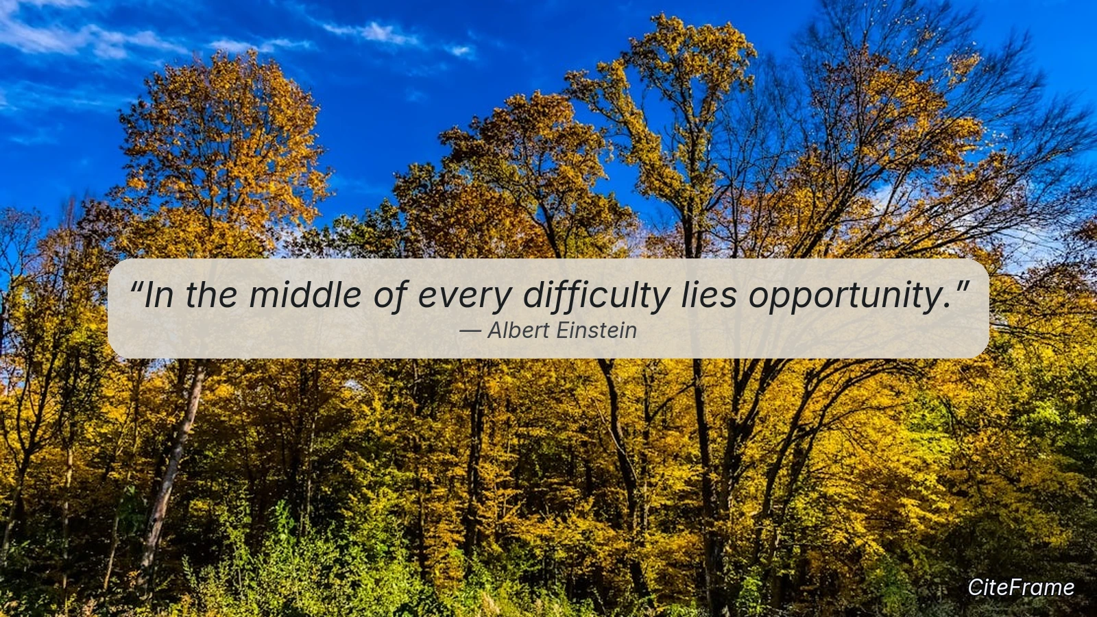 Quote by Albert Einstein: In the middle of every difficulty lies opportunity. (X)